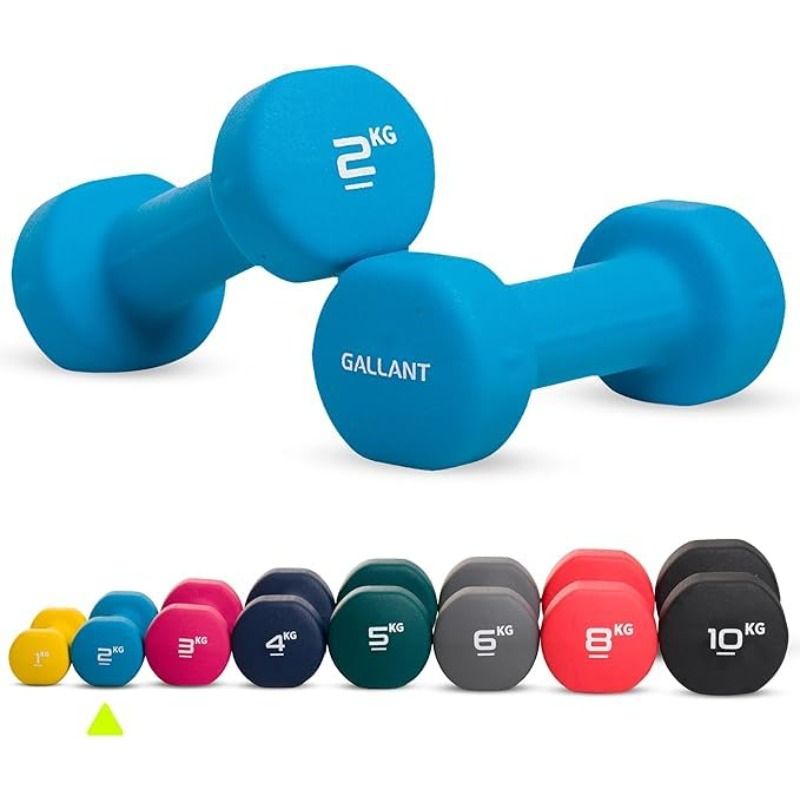 Local2Kg Dumbbell Set Pink Pair of Hand Weights for